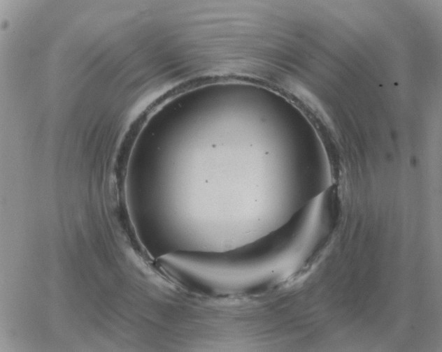 X0000065260876200602242112