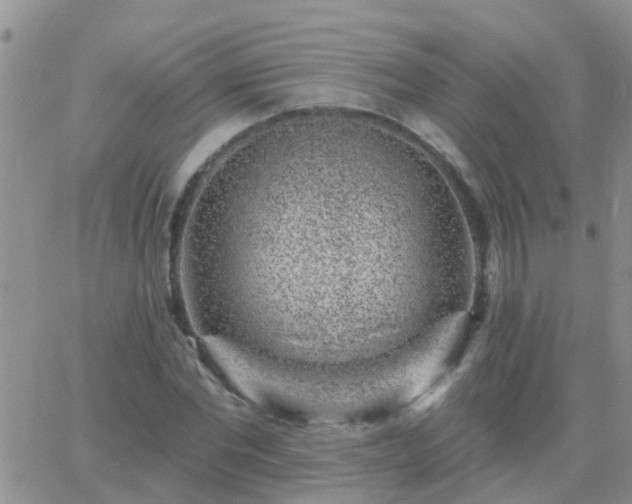 X0000065260877200602242112