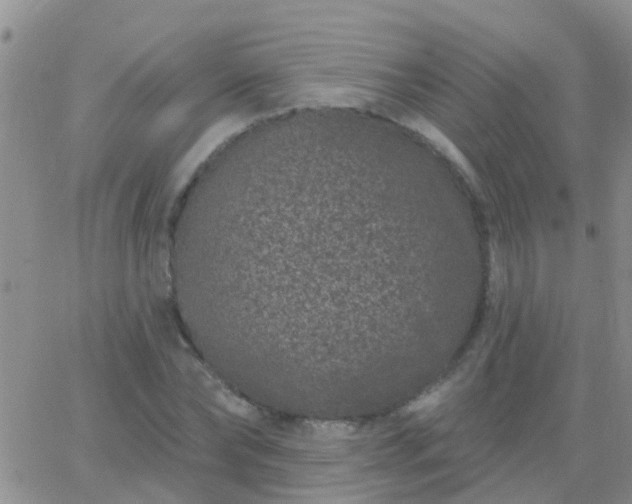 X0000065260878200602242112