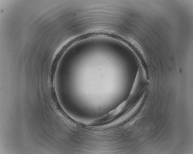 X0000065260880200602242112