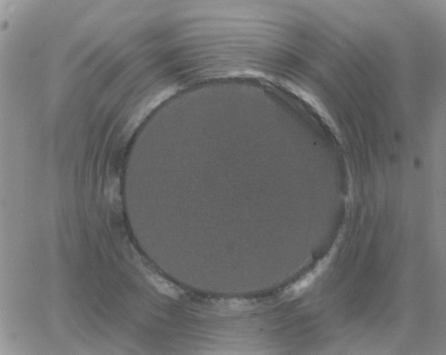 X0000065260881200602242112