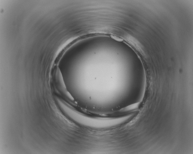 X0000065260884200602242112