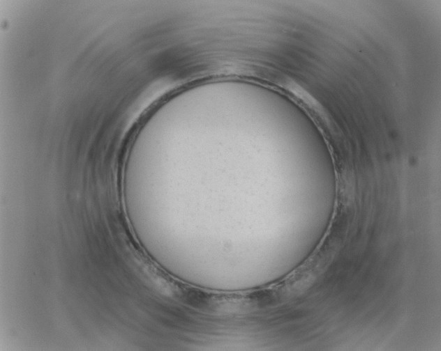 X0000065260886200602242112