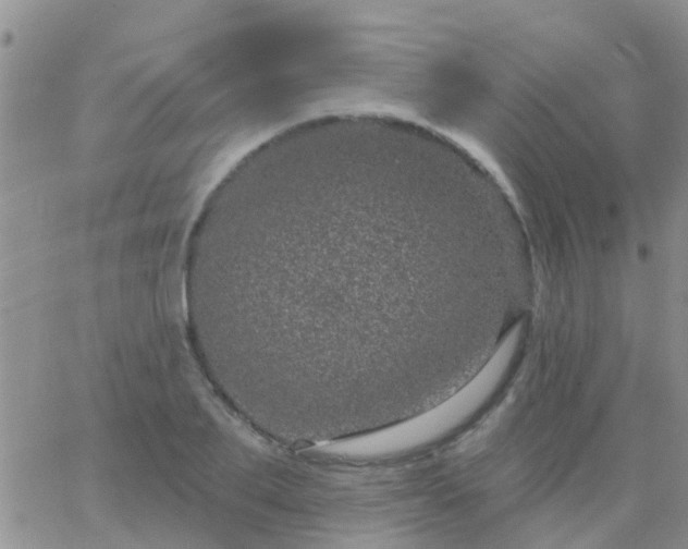 X0000065260887200602242112