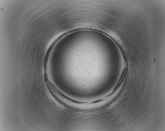 X0000065260888200602242112