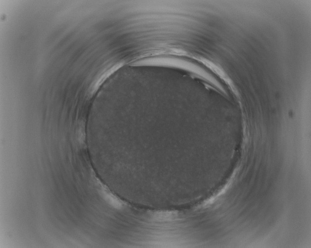 X0000065260889200602242112