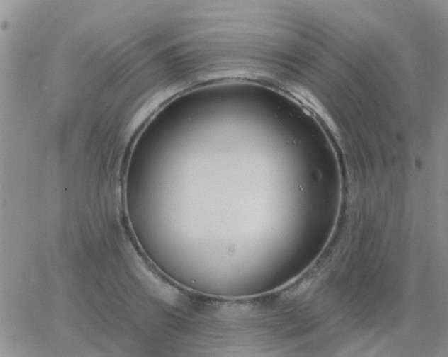 X0000065260890200602242112