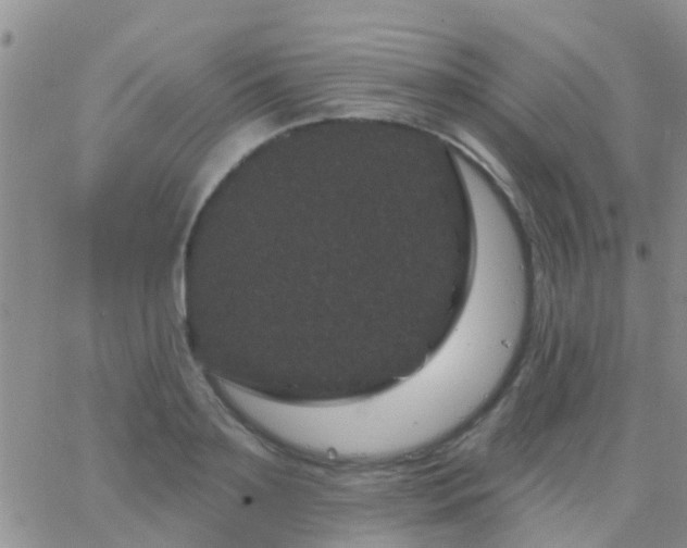 X0000065260891200602242112