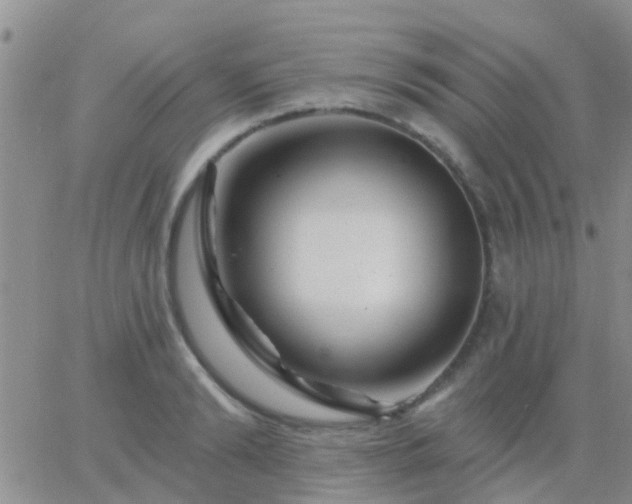 X0000065260894200602242112