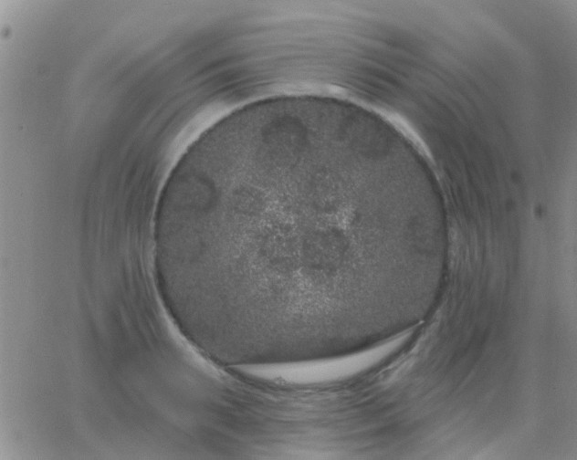 X0000065260895200602242112