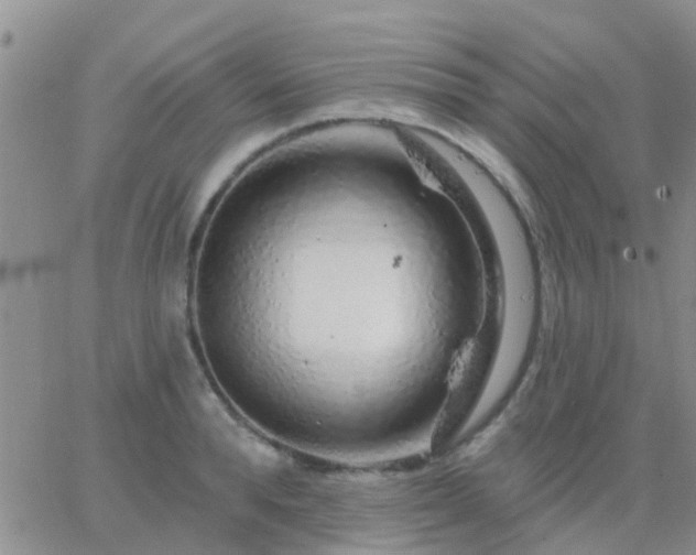 X0000065260896200602242112