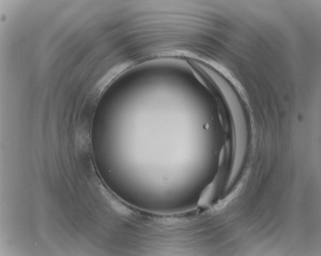 X0000065260897200602242112