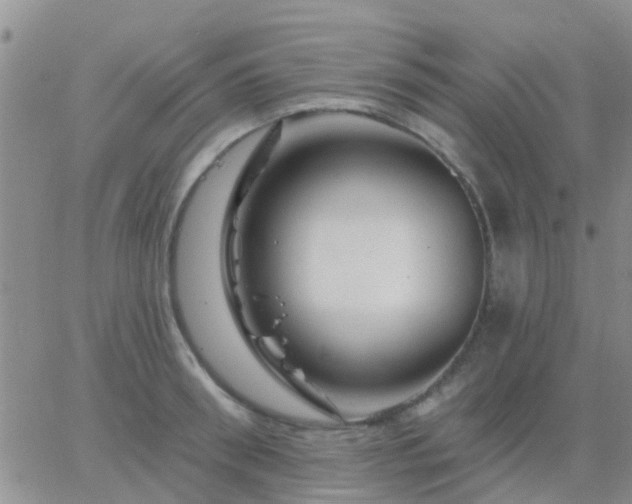 X0000065260898200602242112