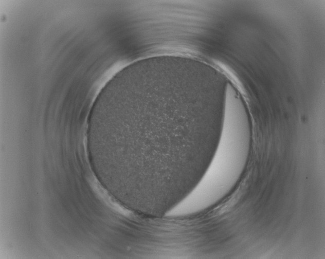 X0000065260899200602242112