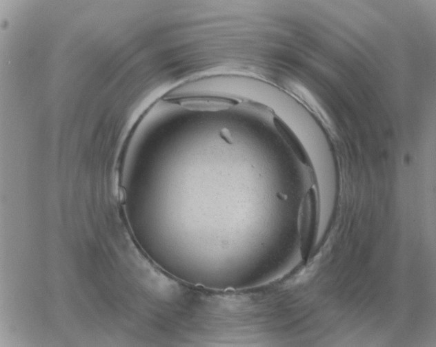 X0000065260900200602242112