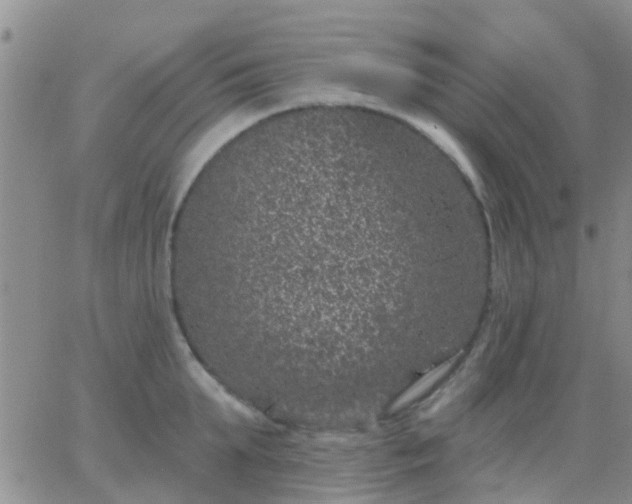 X0000065260903200602242112