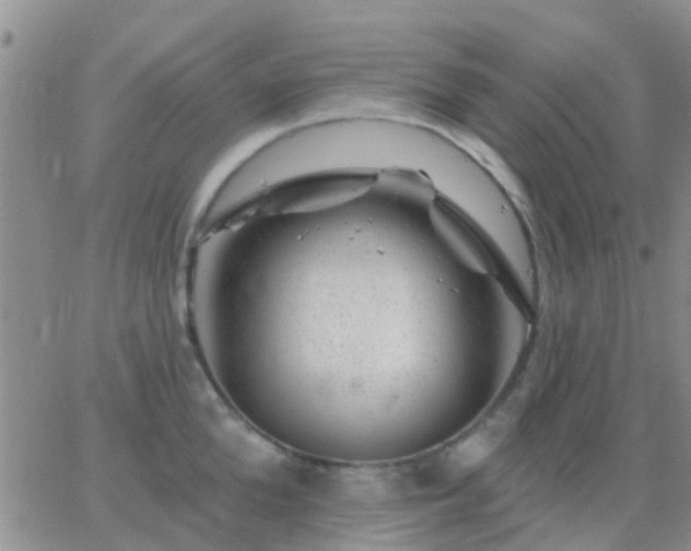 X0000065260904200602242112