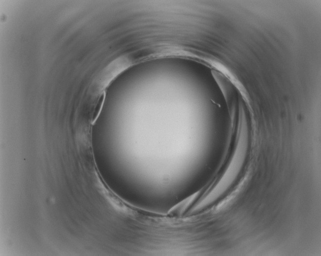 X0000065260905200602242112