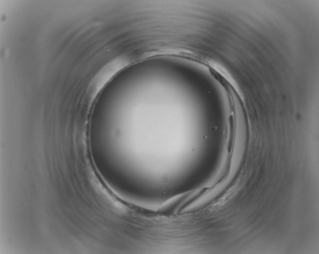 X0000065260906200602242112