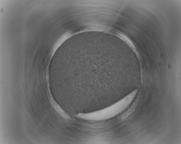 X0000065260907200602242112