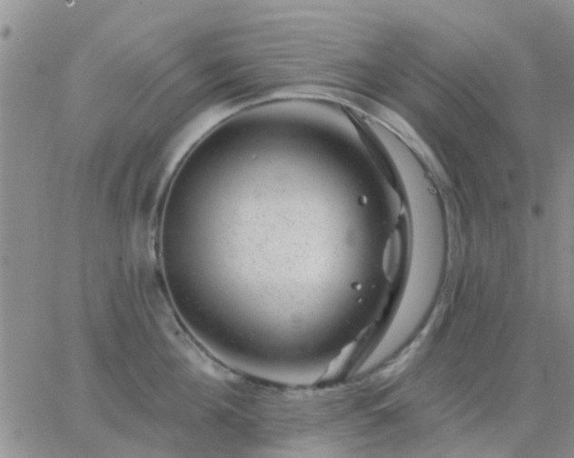 X0000065260908200602242112