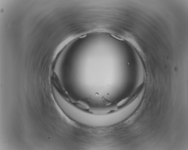 X0000065260910200602242112