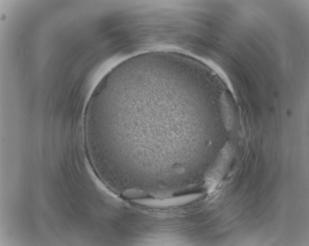 X0000065260911200602242112