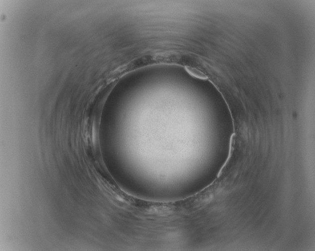 X0000065260914200602242111