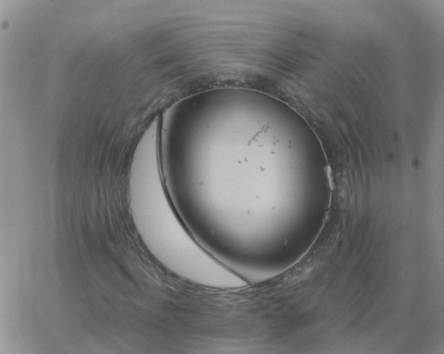 X0000065260916200602242111