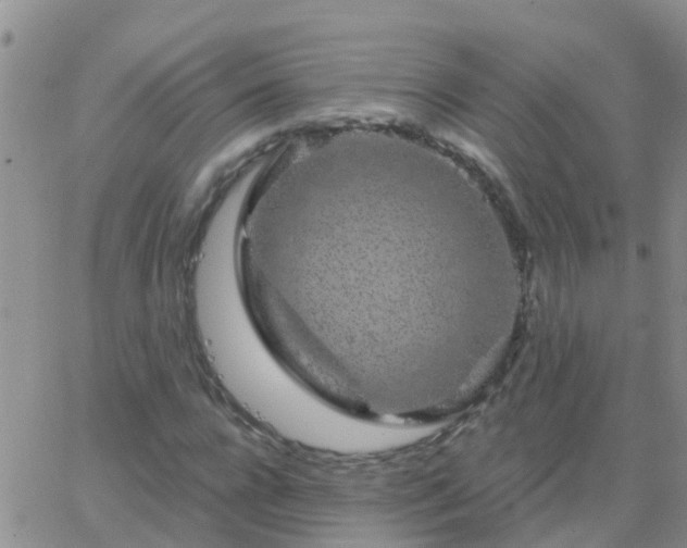 X0000065260920200602242111