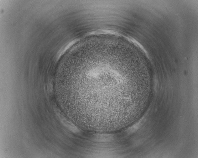 X0000065260921200602242111