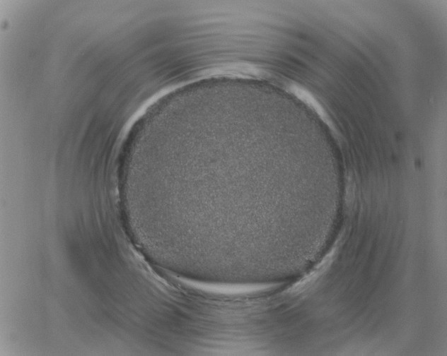 X0000065260923200602242111