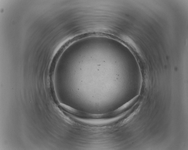 X0000065260924200602242111