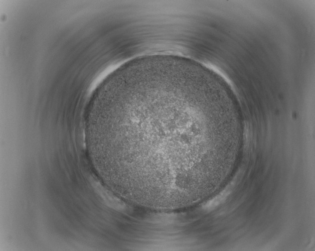 X0000065260925200602242111