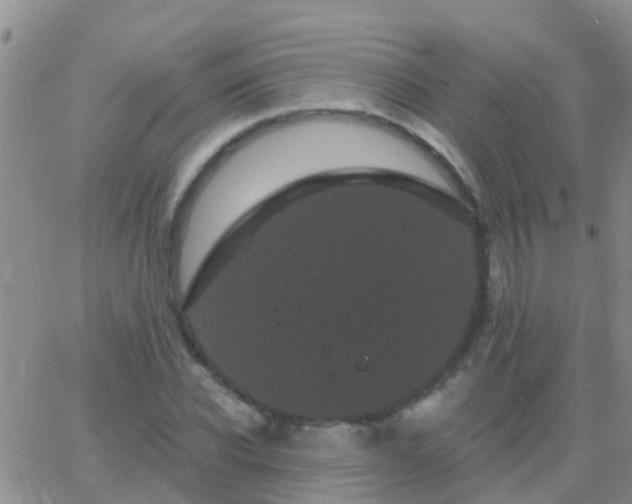 X0000065260926200602242111