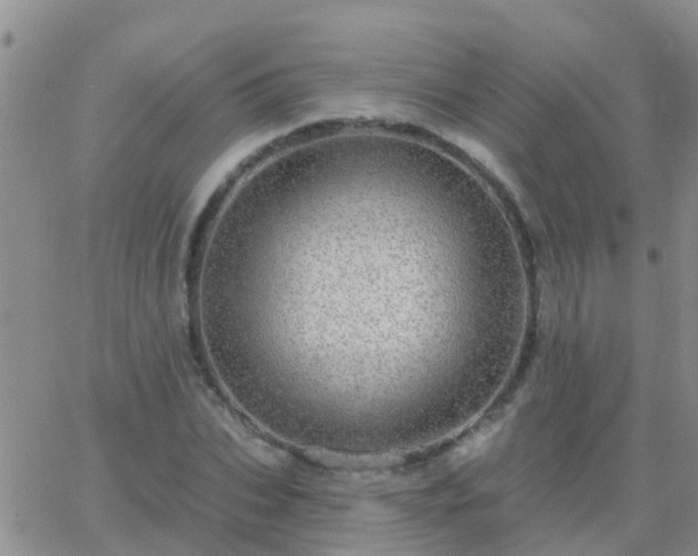 X0000065260927200602242111