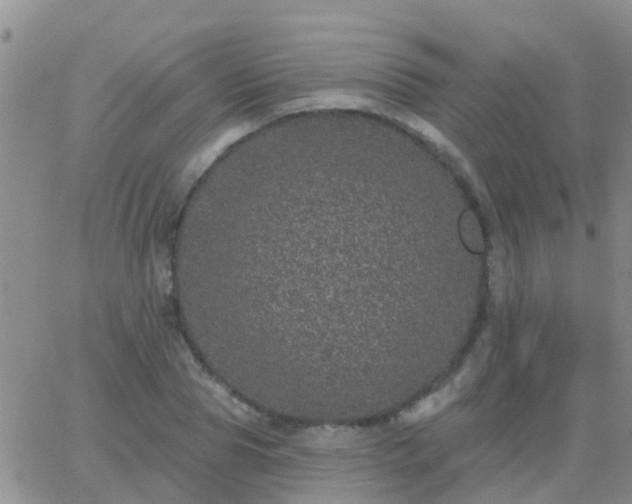 X0000065260929200602242111