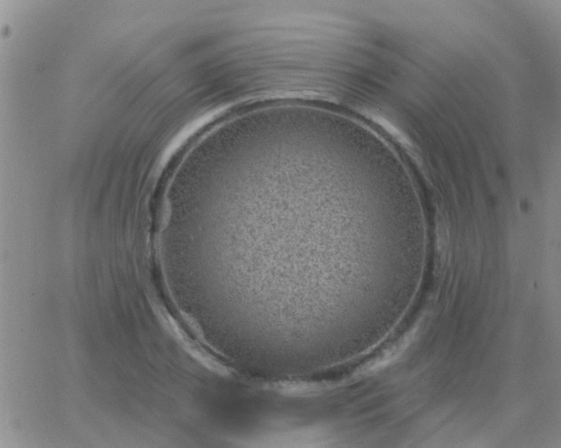 X0000065260933200602242111