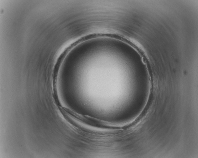 X0000065260935200602242111