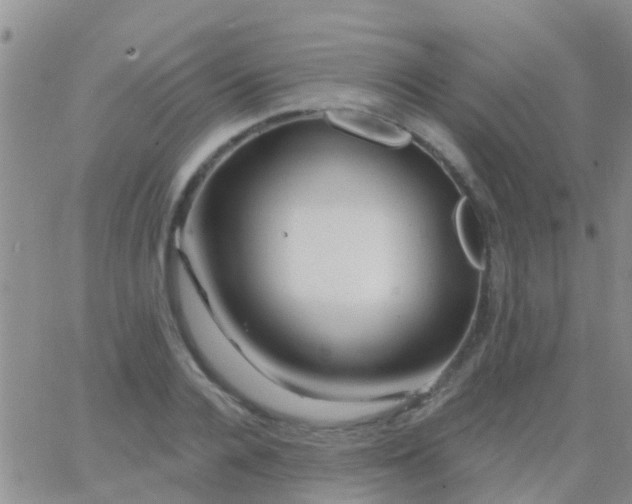 X0000065260936200602242111