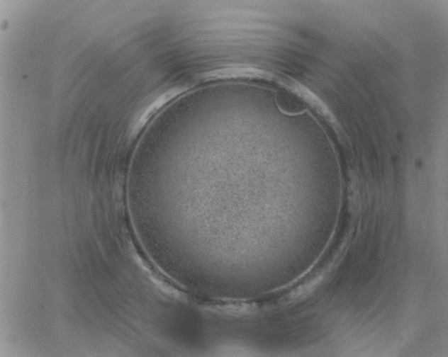 X0000065260937200602242111