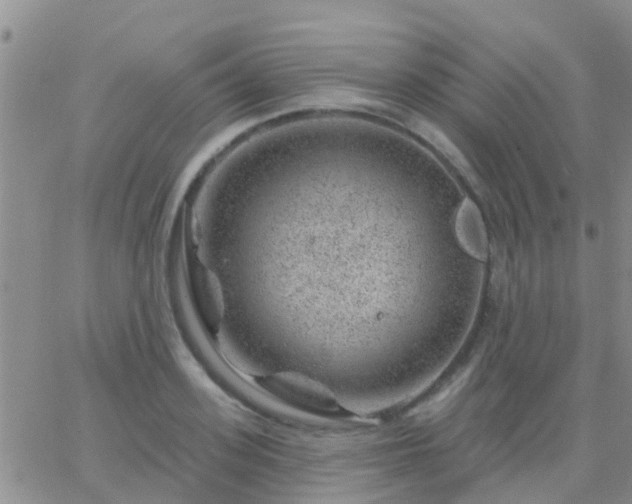 X0000065260939200602242111