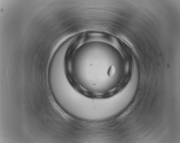 X0000065260940200602242111