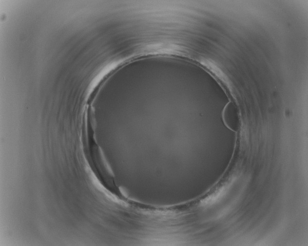 X0000065260941200602242111