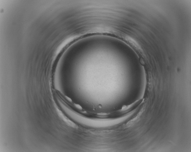 X0000065260942200602242111