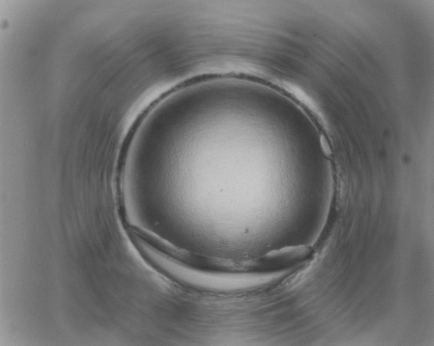 X0000065260943200602242111