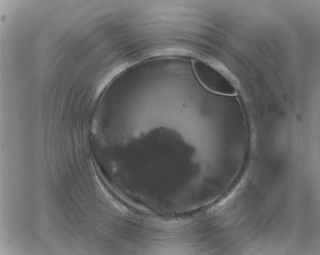 X0000065260945200602242111