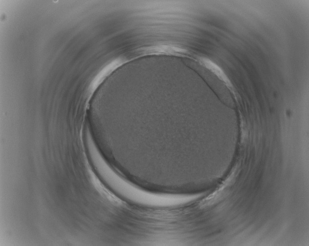 X0000065260946200602242111