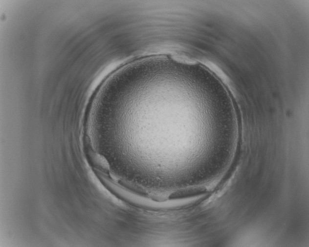 X0000065260949200602242111