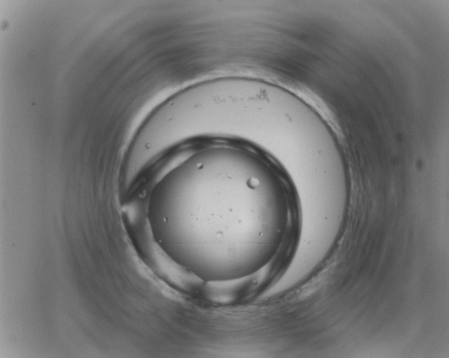 X0000065260950200602242111